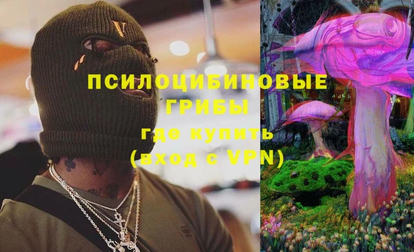 крисы Алексеевка